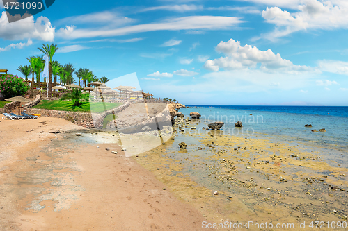 Image of Rocky coast by the sea