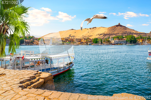 Image of Moored touristic boats