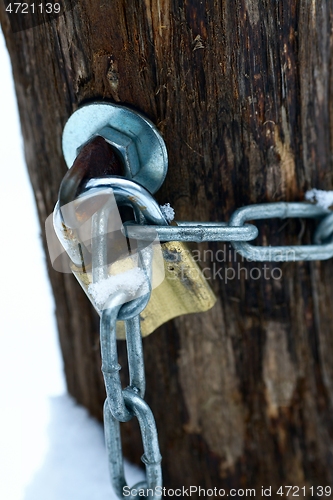 Image of Old gate with padlock