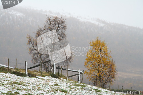 Image of Autumn