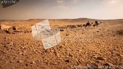 Image of camel ride in the desert Cairo Egypt