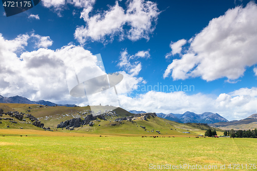 Image of landscape New Zealand north island