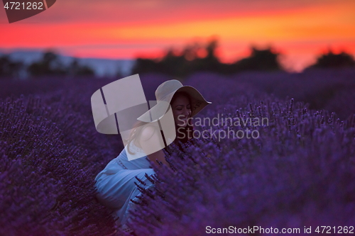 Image of woman portrait in lavender flower fiel