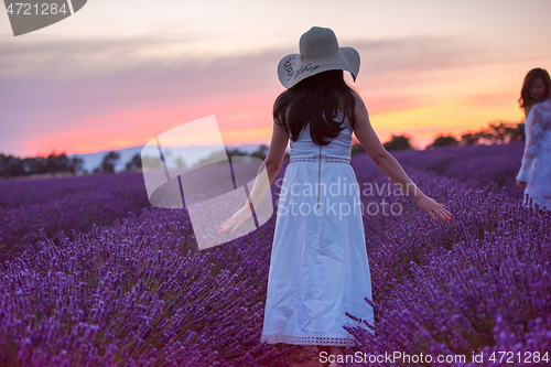 Image of woman portrait in lavender flower fiel