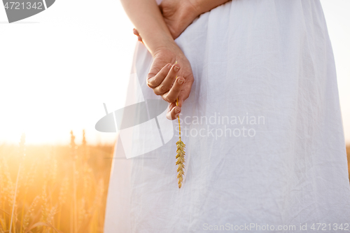 Image of woman on cereal field holding ripe wheat spickelet