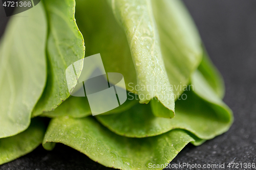Image of close up of bok choy cabbage on slate background
