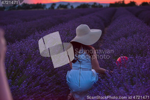 Image of woman portrait in lavender flower fiel