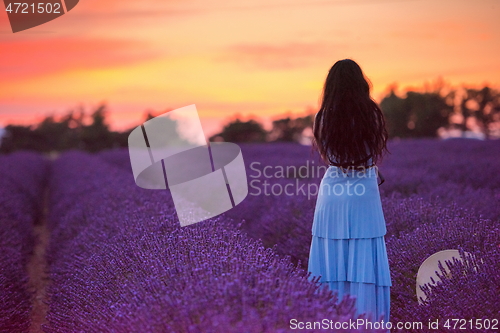 Image of woman portrait in lavender flower fiel