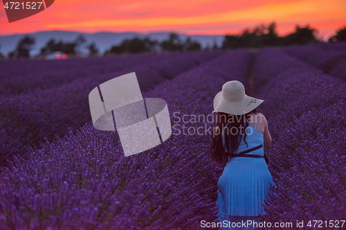 Image of woman portrait in lavender flower fiel