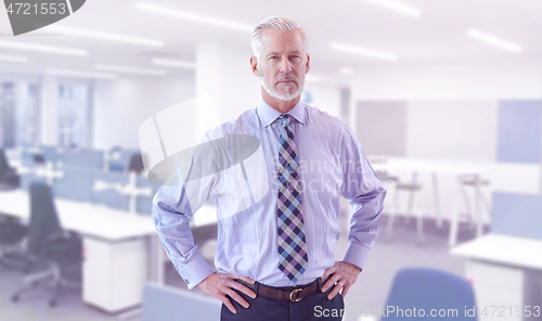 Image of Portrait of senior businessman