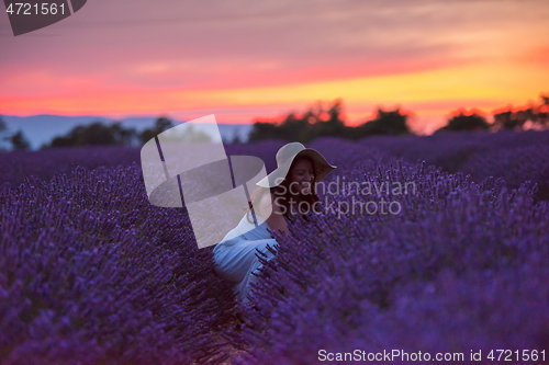 Image of woman portrait in lavender flower fiel