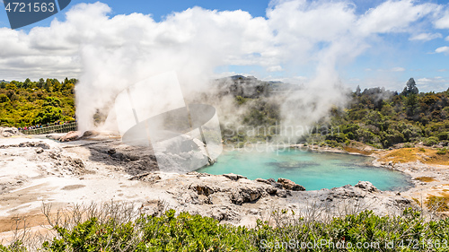 Image of Geyser in New Zealand Rotorua