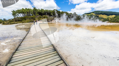 Image of geothermal activity at Rotorua in New Zealand