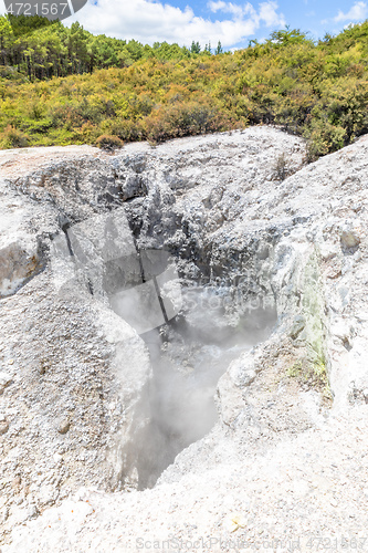 Image of geothermal activity at Rotorua in New Zealand