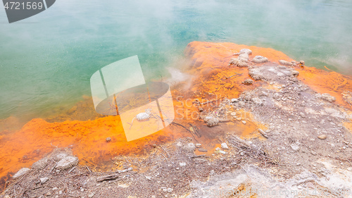 Image of hot sparkling lake in New Zealand