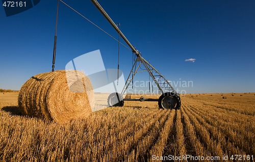 Image of Harvested