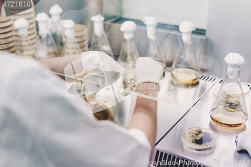 Image of Female scientist working with laminar flow at corona virus vaccine development laboratory research facility.