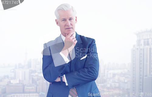 Image of Portrait of senior businessman