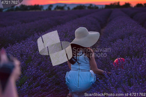 Image of woman portrait in lavender flower fiel