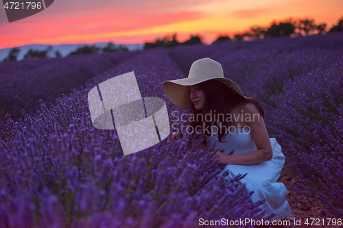 Image of woman portrait in lavender flower fiel