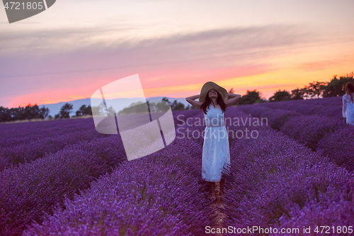 Image of woman portrait in lavender flower fiel