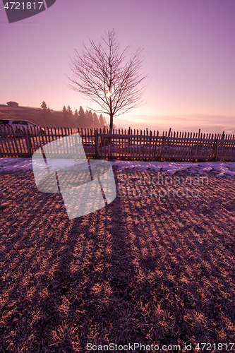 Image of winter landscape scenic  with lonely tree