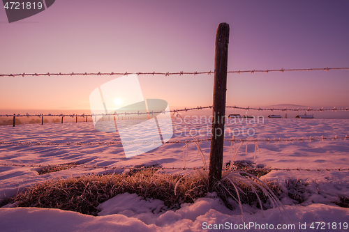 Image of winter landscape scenic  with lonely tree