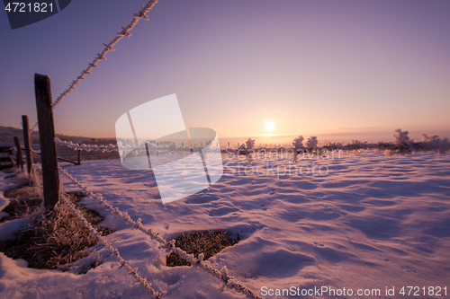 Image of winter landscape scenic  with lonely tree