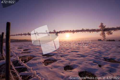 Image of barbed wire fence in winter
