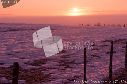 Image of winter landscape scenic  with lonely tree