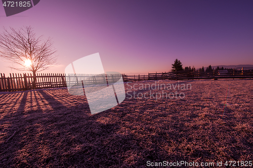 Image of winter landscape scenic  with lonely tree