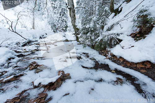 Image of winter creek ice