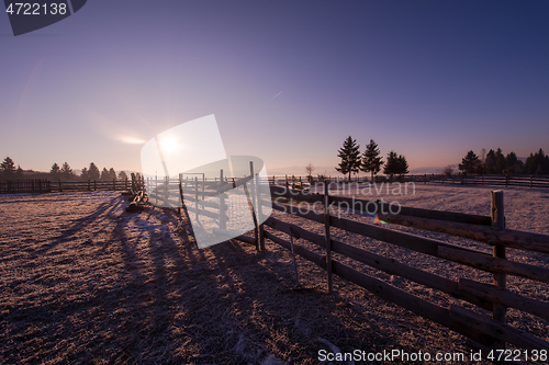 Image of winter landscape scenic  with lonely tree