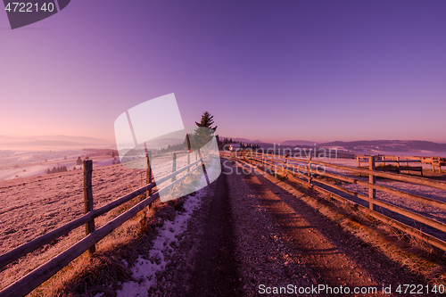 Image of winter landscape scenic  with lonely tree