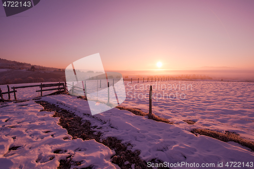 Image of winter landscape scenic  with lonely tree