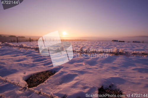 Image of barbed wire fence in winter