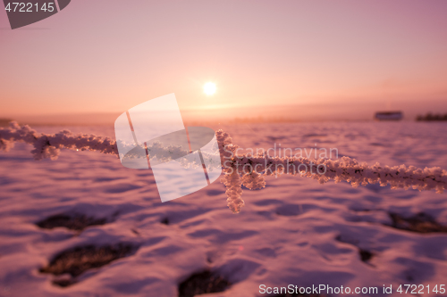 Image of barbed wire fence in winter