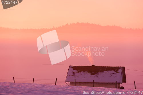 Image of winter landscape scenic  with lonely tree