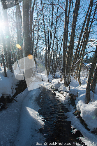 Image of winter creek ice