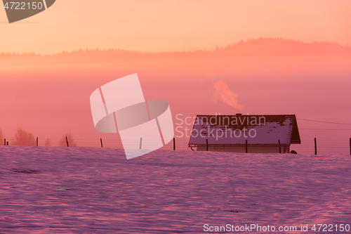 Image of winter landscape scenic  with lonely tree