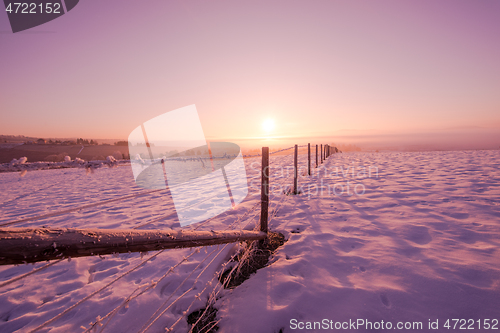 Image of winter landscape scenic  with lonely tree