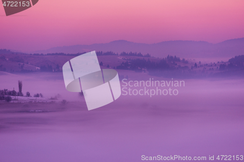 Image of winter landscape scenic  with lonely tree