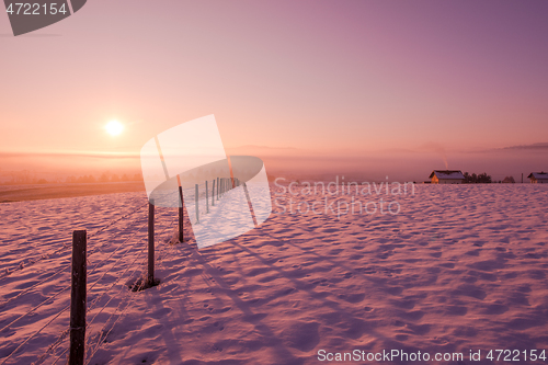 Image of winter landscape scenic  with lonely tree