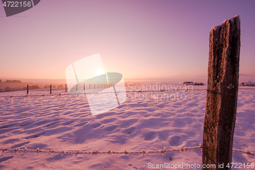 Image of winter landscape scenic  with lonely tree