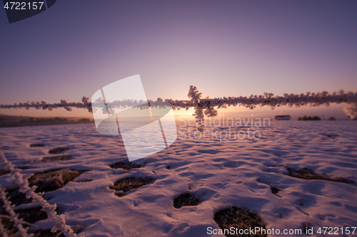 Image of barbed wire fence in winter