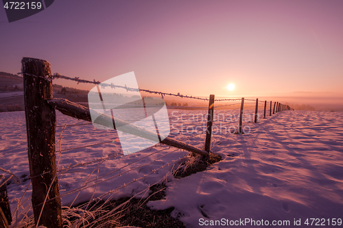 Image of winter landscape scenic  with lonely tree