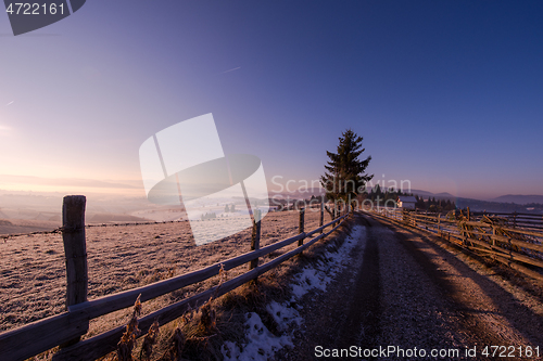 Image of winter landscape scenic  with lonely tree