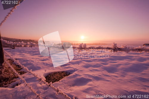 Image of barbed wire fence in winter