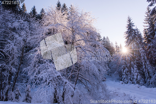 Image of winter road