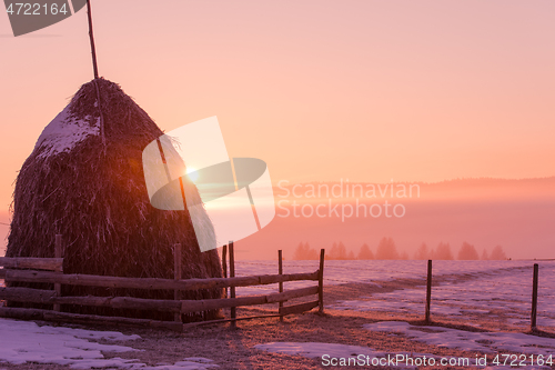 Image of winter landscape scenic  with lonely tree